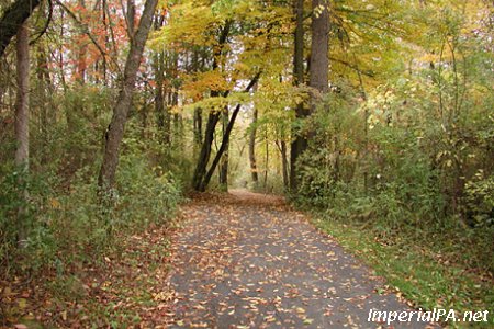 Elm Street Park photo