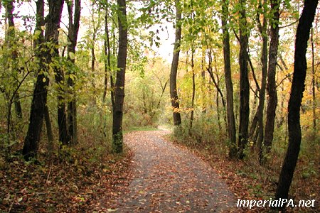 Elm Street Park photo